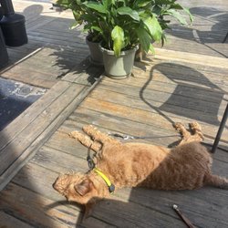 Barge Inn - Chilling on the patio