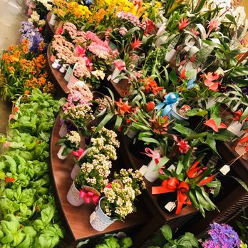 Safeway - Beauties - Grocery Near Me - San Jose, California Safeway - Beauties - Grocery Near Me - San Jose, California