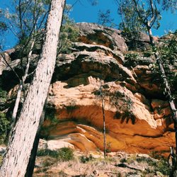 White Rock Conservation Park