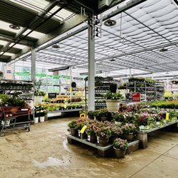 The Home Depot - Outdoor plants