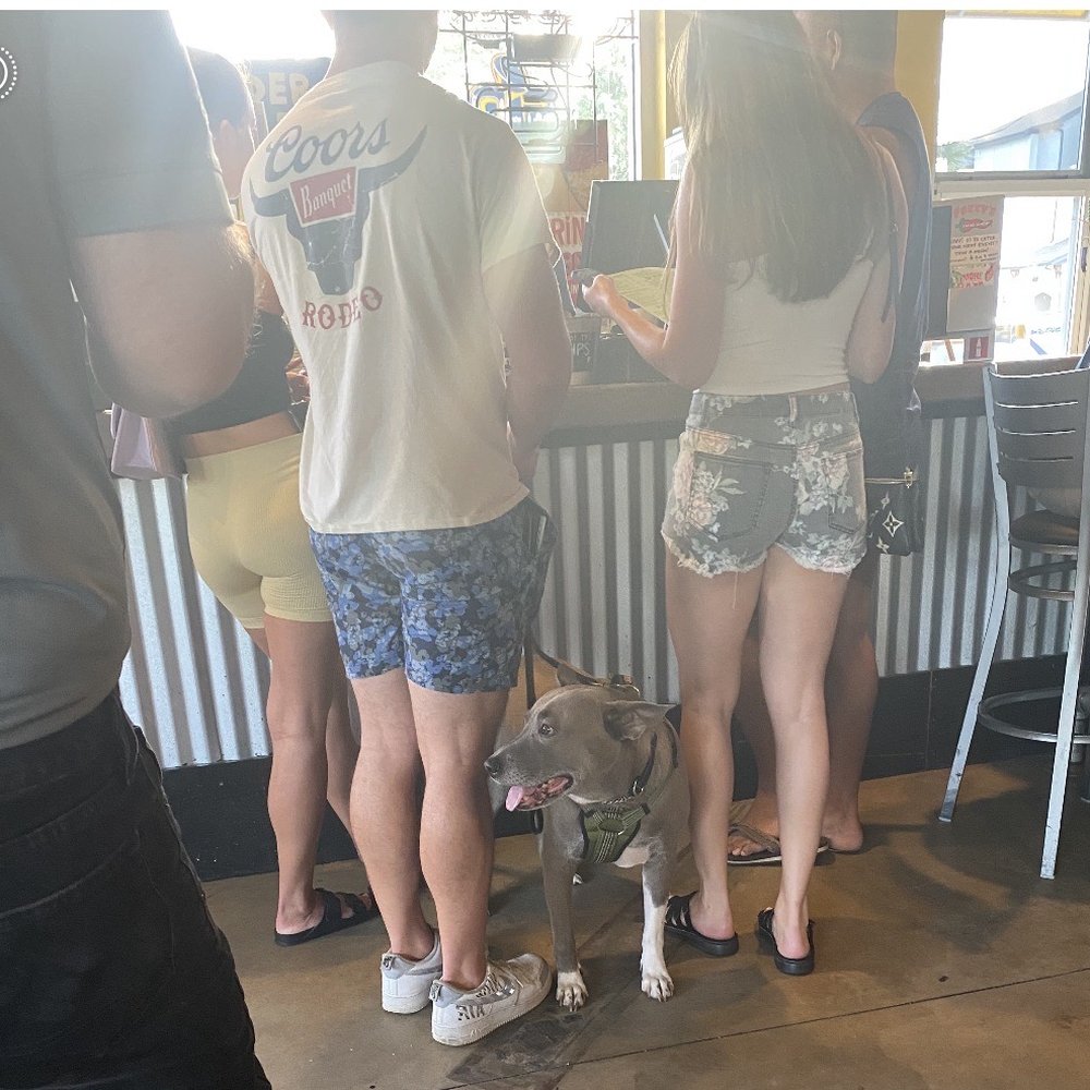 Don't know why non emotional support pets are allowed inside the restaurant when they offer outdoor seating. Don't know why non emotional support pets are allowed inside the restaurant when they offer outdoor seating. 