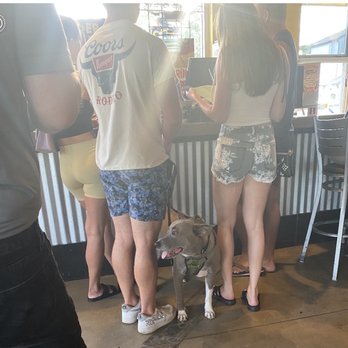 Fuzzy's Taco Shop - Don't know why non emotional support pets are allowed inside the restaurant when they offer outdoor seating. ‍ - Mexican Near Me - Sarasota, Florida