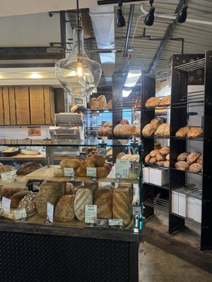 Guglhupf Bake Shop by null