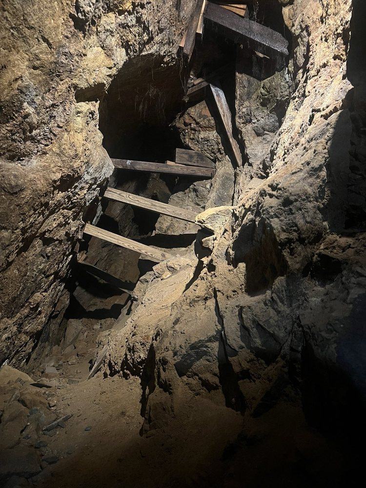 Reed Gold Mine