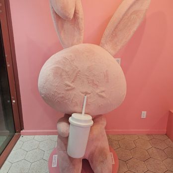 Ume Tea - 9-11-24. Decor - Bubble Tea Near Me - San Jose, California Ume Tea - 9-11-24. Decor - Bubble Tea Near Me - San Jose, California