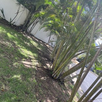 Roby Landscaping - Front - Landscaping Near Me - Wailuku, Hawaii Roby Landscaping - Front - Landscaping Near Me - Wailuku, Hawaii