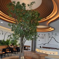 Chicha San Chen - Interior
