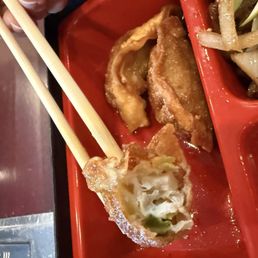 Gyoza in lunch bento special