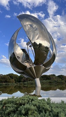 Floralis Generica by null