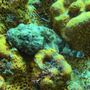 Photo of Casa del Buceo