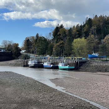 Aquila Tours - About 11:45: Lobster boats beached - Travel Services Near Me - Saint John, New Brunswick