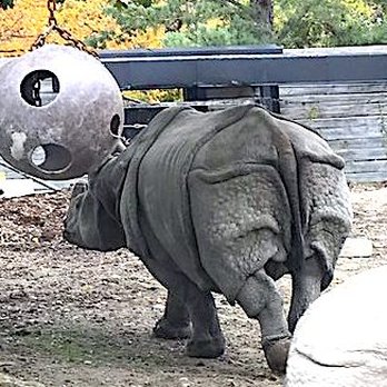 Toronto Zoo - Zoos Near Me - Toronto, Ontario
