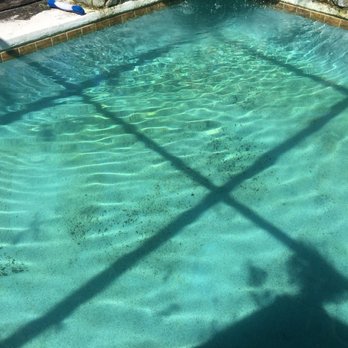 Apollo Pools - Dirt, mold - Pool Cleaners Near Me - Valrico, Florida