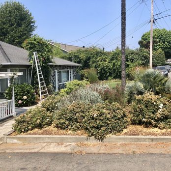 Artificial Lawns Direct - Before - Artificial Turf Near Me - Santa Cruz, California Artificial Lawns Direct - Before - Artificial Turf Near Me - Santa Cruz, California