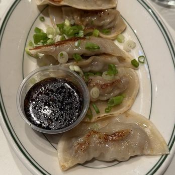 Flock to the Wok - Pork Gyoza - Chinese Near Me - Savannah, Georgia