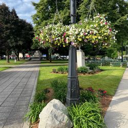 Barry's Greenhouses & Landscaping