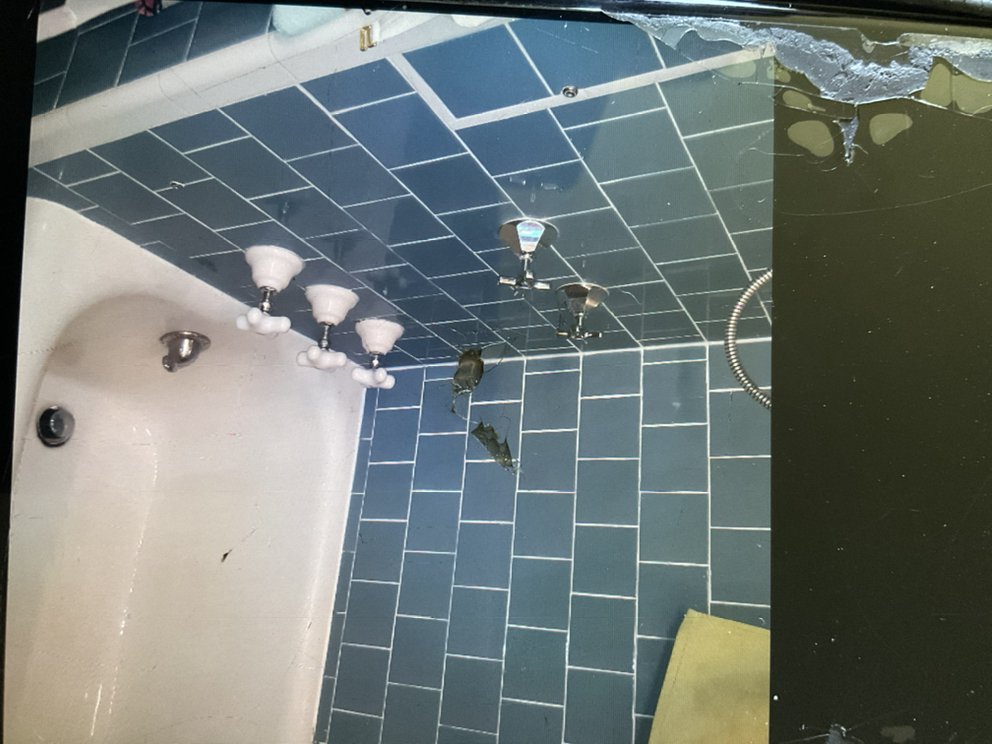 Slide of Super Dave's Rooter