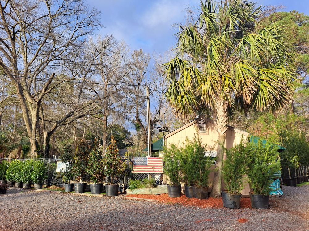 ANGEL OAK NURSERY & MULCH Updated October 2024 15 Photos 2484