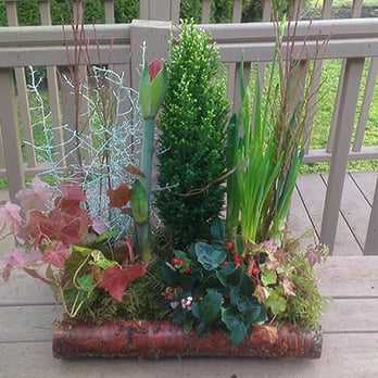 Flowers On Top - Outdoor Winter Arrangement -- Fabulous and so creative! Made by Flowers On Top in Victoria. - Florists Near Me - Victoria, British Columbia Flowers On Top - Outdoor Winter Arrangement -- Fabulous and so creative! Made by Flowers On Top in Victoria. - Florists Near Me - Victoria, British Columbia