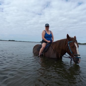 CPonies - Horseback Riding Near Me - Bradenton, Florida