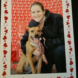 Mutts & Co - Thank you Mutts & Co for a fun Valentine's day picture shot yesterday with Buckeye Basset Hound!