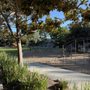 Photo of Bluebird Park
