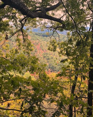 Hot Springs National Park by null