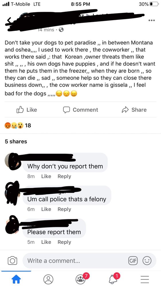 EL PASO PET PARADISE Updated September 2024 4441 Oshea St, El Paso