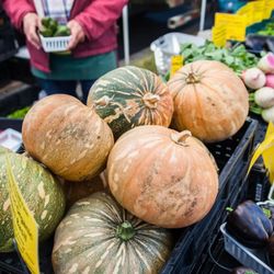 Organic pumpkins at our Farmer's Market