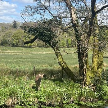 Killarney National Park - Parks Near Me