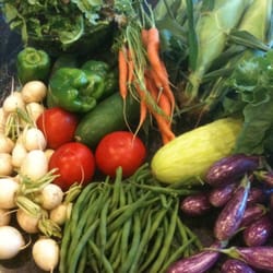 Casey Farm - A typical haul