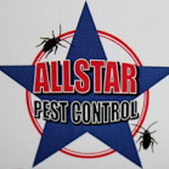 Allstar Pest Control - Pest Control Near Me - College Station, Texas Allstar Pest Control - Pest Control Near Me - College Station, Texas