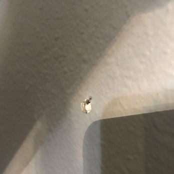 Moving Nola - From painting being smushed against the wall. Had to fill holes and paint. - Movers Near Me Moving Nola - From painting being smushed against the wall. Had to fill holes and paint. - Movers Near Me