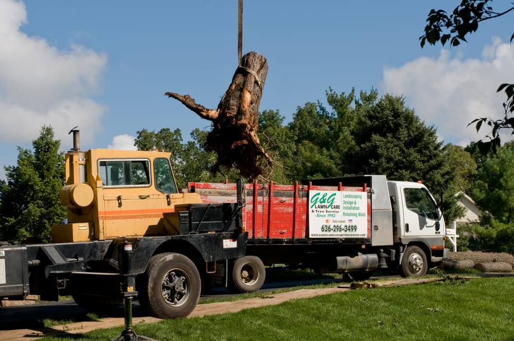 G & G Lawn Care & Tree Service - tree service in Imperial, MO