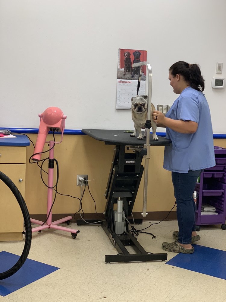 PETSENSE Updated October 2024 10 Photos 4327 Fayetteville Rd