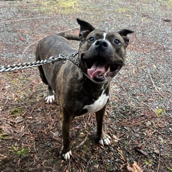 Firgrove Veterinary Hospital - Baby girl - Veterinarians Near Me - Puyallup, Washington Firgrove Veterinary Hospital - Baby girl - Veterinarians Near Me - Puyallup, Washington
