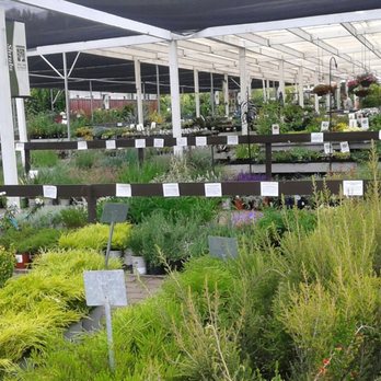 West End Nursery - Nurseries & Gardening Near Me - San Rafael, California West End Nursery - Nurseries & Gardening Near Me - San Rafael, California