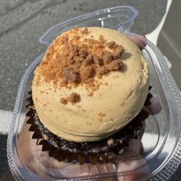 Chocolate Peanut Butter Cupcake