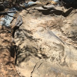 Bloomica Landscaping - Pond Re-do.