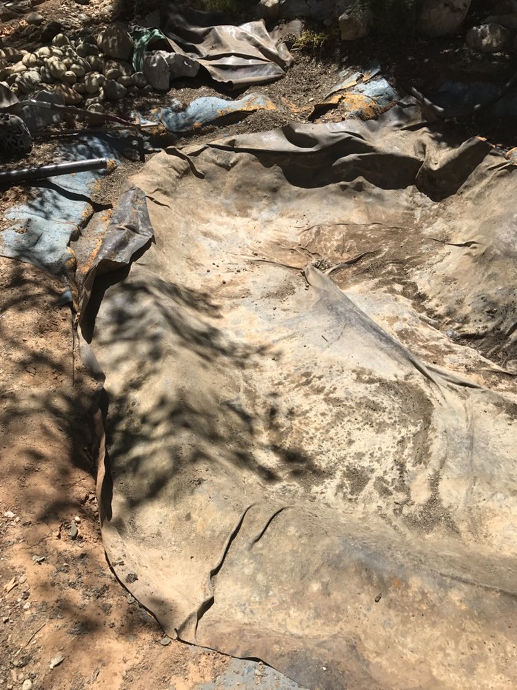 BLOOMICA LANDSCAPING Updated September 2024 26 Photos & 13 Reviews