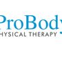 Probody Physical Therapy
