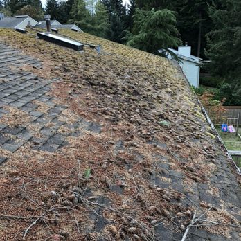 JC Window Wash Services - Before Roof - Window Washing Near Me - Lynnwood, Washington JC Window Wash Services - Before Roof - Window Washing Near Me - Lynnwood, Washington
