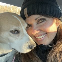 Pelham Animal Hospital