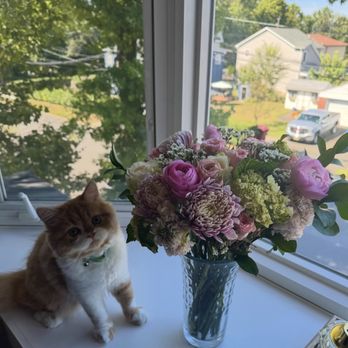 UrbanStems - Florists Near Me UrbanStems - Florists Near Me