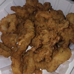 Fried Calamari