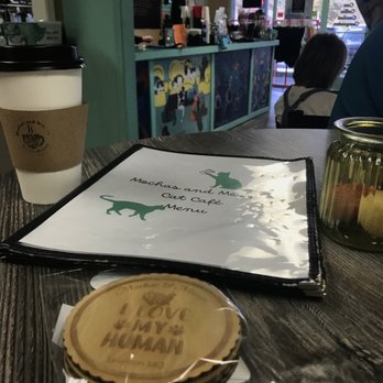 Mochas And Meows - a menu and a cup of coffee - Pet Adoption Near Me - Branson, Missouri