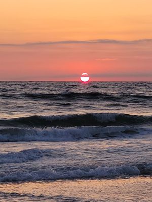 Seven Seas Roasting Co. by null