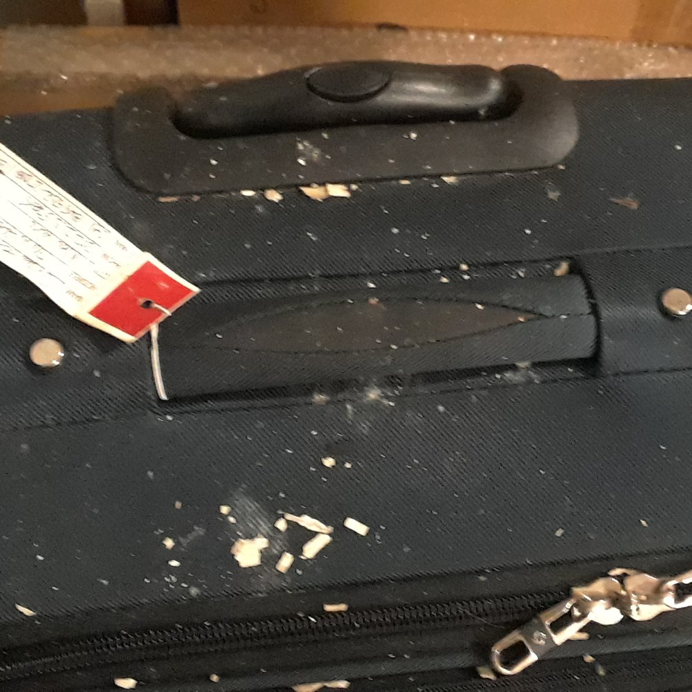 Allways Moving & Storage - Movers Near Me - Kingston, New York