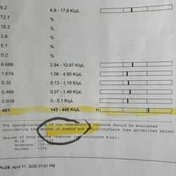 Health & Wellness Animal Hospital - Idex report showing high anemia April 10, 2025. Gigi died in my arms in June 25, 2025.