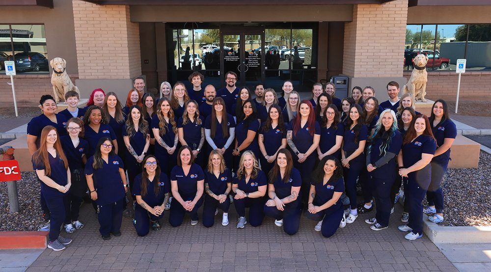 GILBERT QUEEN CREEK EMERGENCY VETERINARIAN & PET URGENT CARE Updated